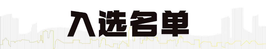 房地产宣传推广简约文章小标题.png