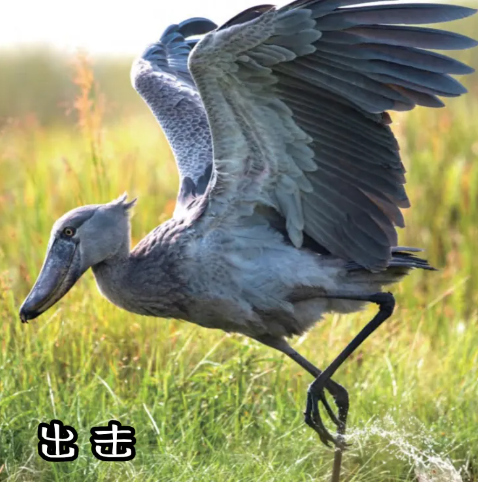 1743663232901708.png 2.png