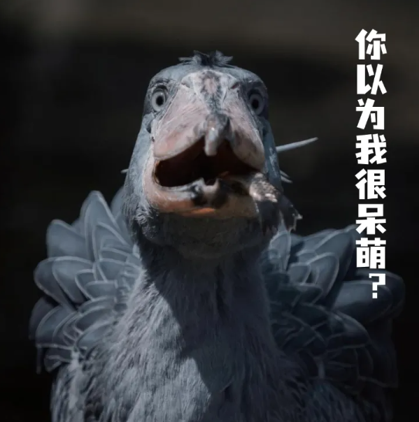 1743663250421519.png 7.png