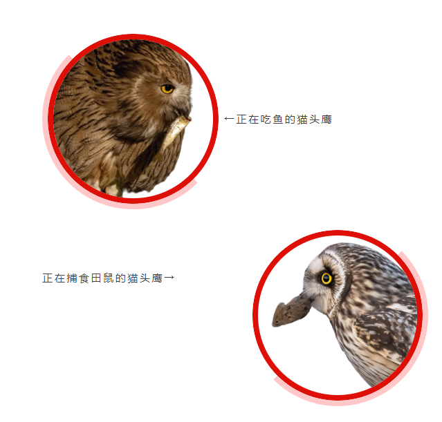 1747292497538525.png 7.png