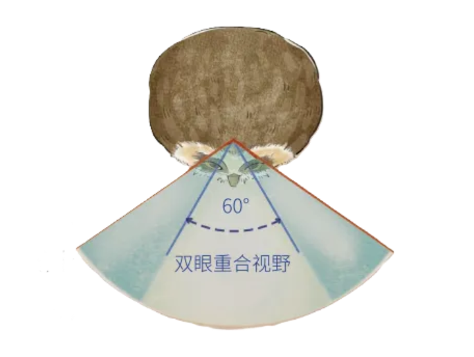 1747292599473081.png 9.png