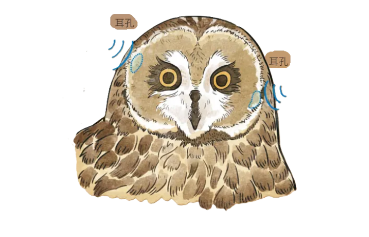 1747292607849638.png 10.png
