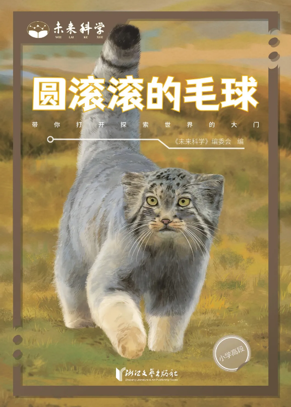 1749107585759500.png 12.png