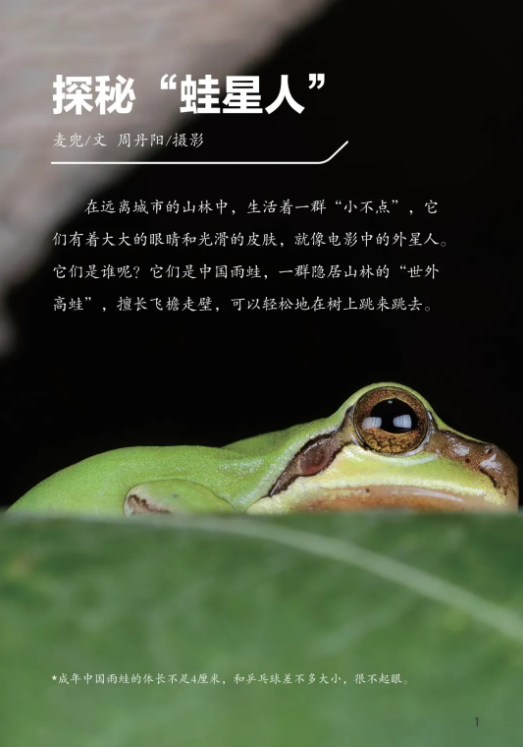 1749539600834901.png 11.png