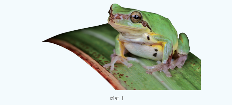 1749539677817548.png 15.png