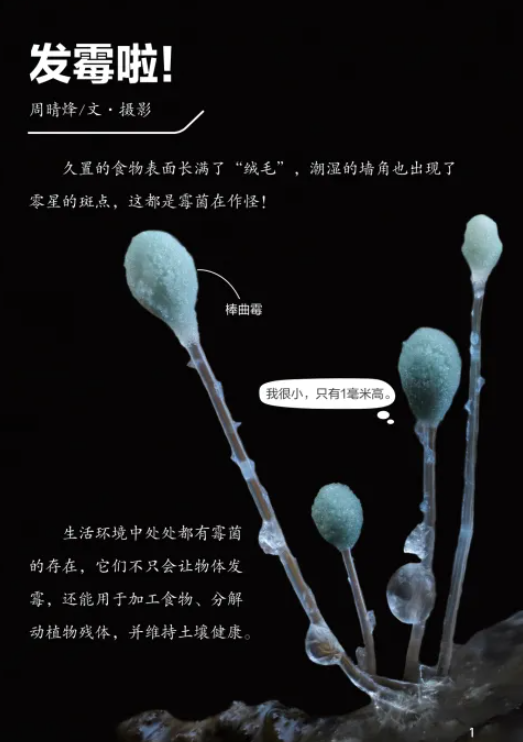 1750404206191537.png 2.png