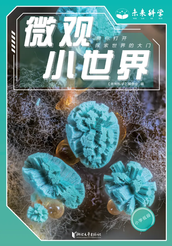 1750404333675399.png 15.png