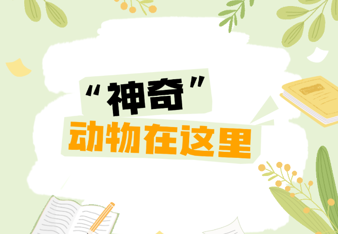 1758870535116855.png 7.png