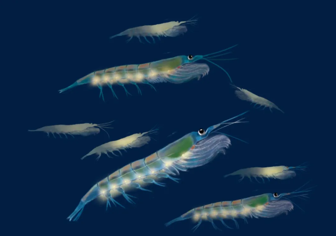 1760171159680014.png 17.png