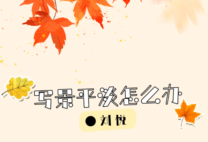 11.png