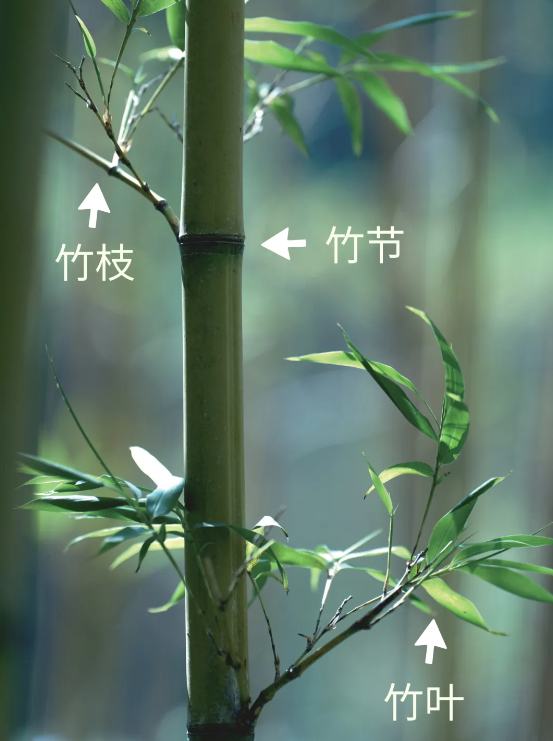1762499303658200.png 7.png