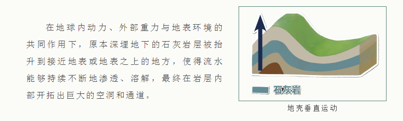 1770708003441753.png 14.png
