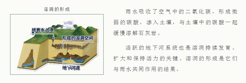 1770708010148700.png 15.png
