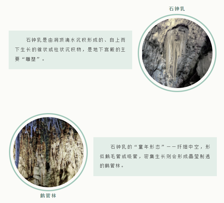 1770708036472790.png 16.png