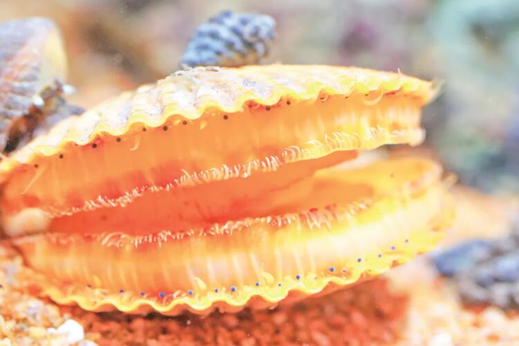 1778224235710110.jpg 10.jpg