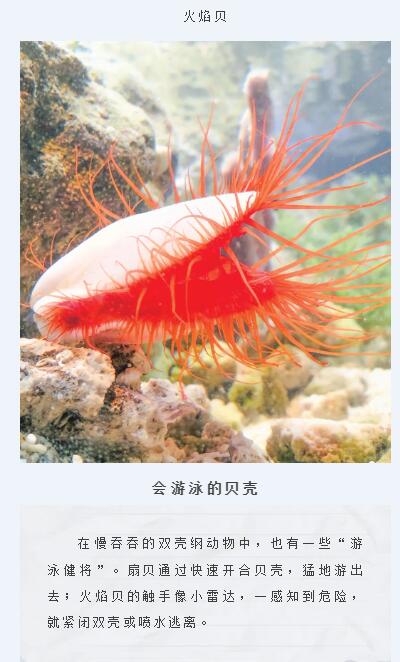 1778224281710432.jpg 15.jpg