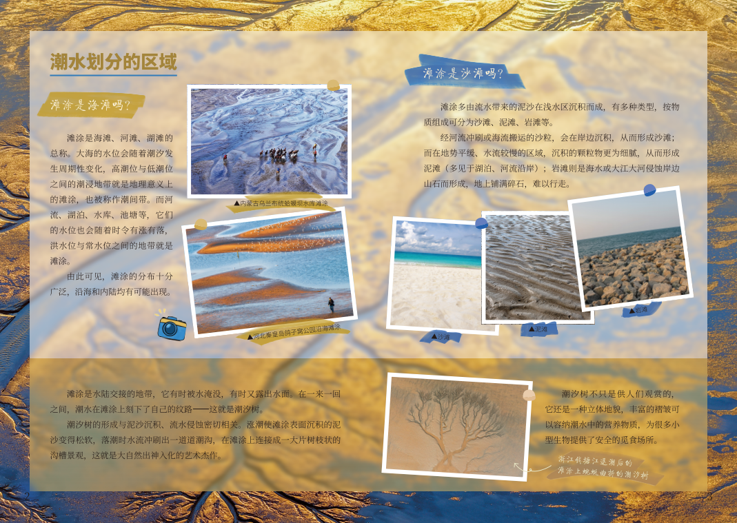 微信图片_20260616150746_84_25.png