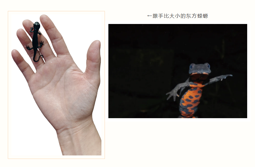 1785053937371977.png 3.png