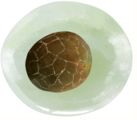 1785054026842184.png 8.png