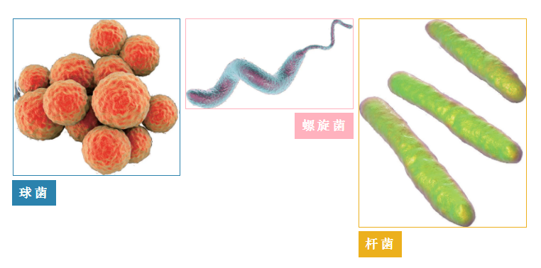 1787901298689818.png 7.png